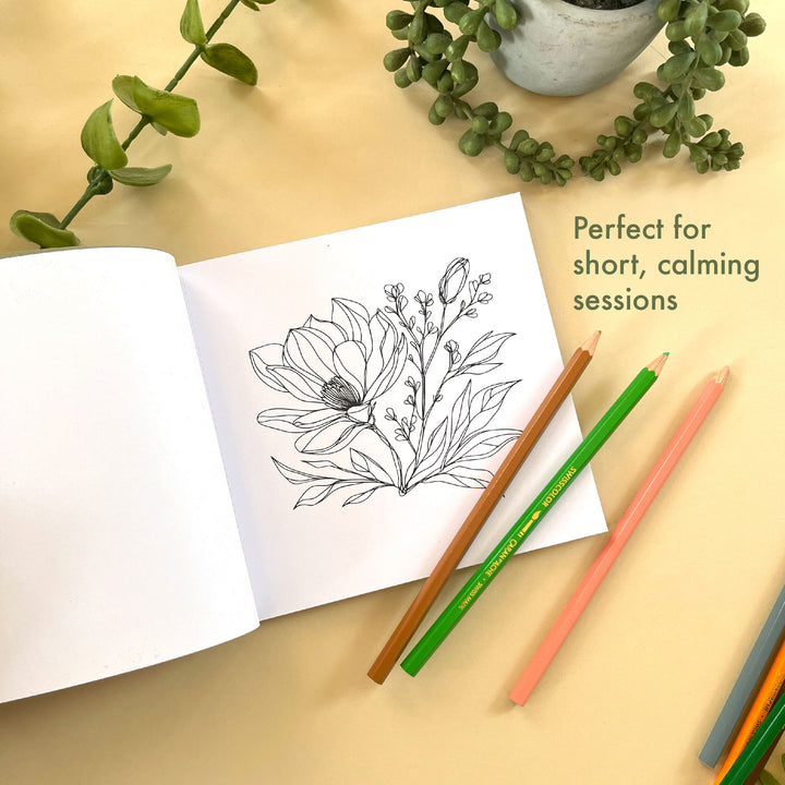 Mini Colouring Book Set of 2