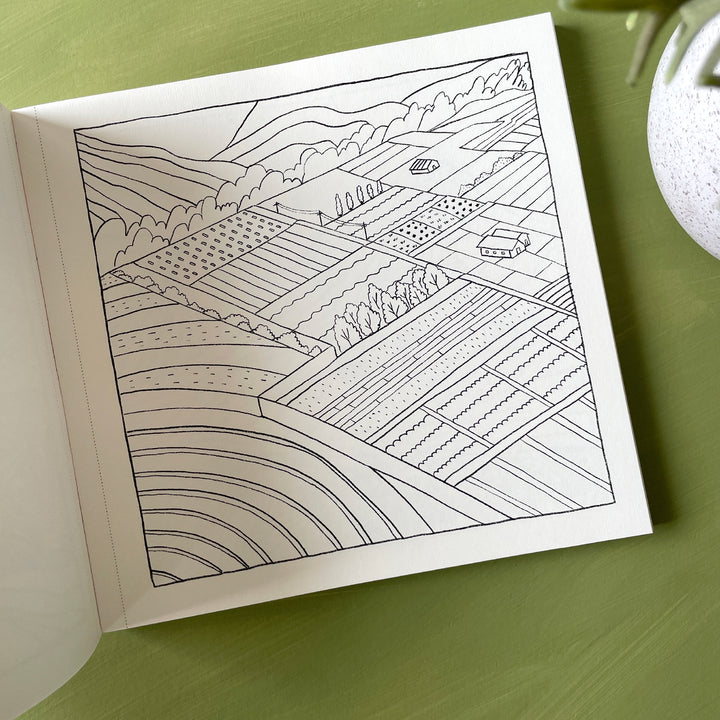 Find Your Calm Colouring Book for Gentle Stress Relief