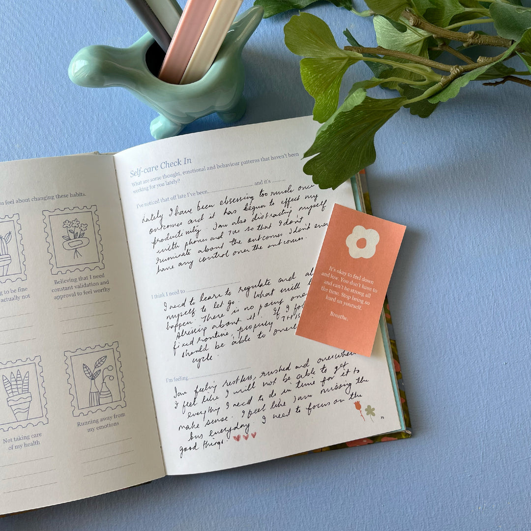 Twice the Love Set - Two Self Love Journals + 1 Free Wholesome Sticker Book