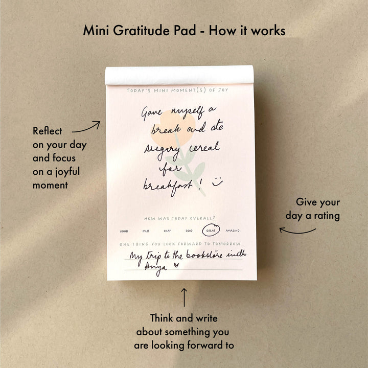 Mini Moments of Joy - A gratitude journal