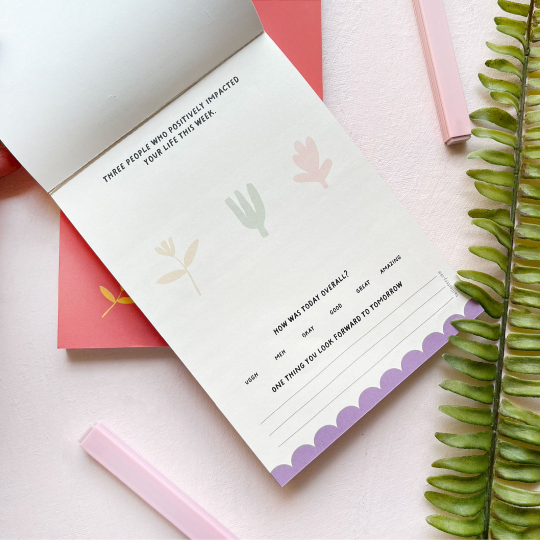 Three Good Things - Mini Gratitude Journal – Twillostory